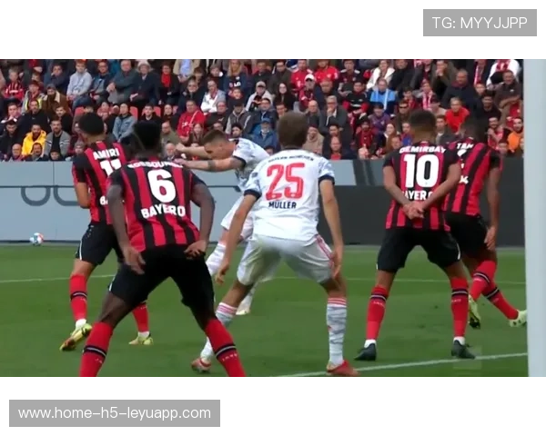 拜仁15场全胜领跑德甲，孔帕尼带队跑动距离跃居榜首，拜仁zirkzee