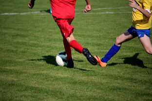 Leyu Sports (乐鱼体育)-仰泳大战美队领先毫厘之间，仰泳比赛视频欣赏